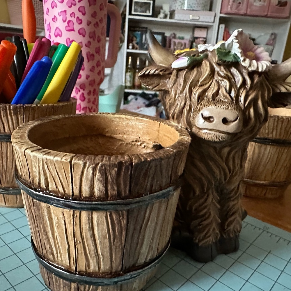 Viral Highland Cow pencil cup/flower pot